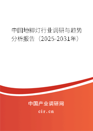 中國地腳燈行業(yè)調(diào)研與趨勢分析報告（2025-2031年）