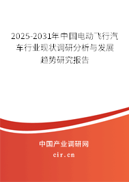2025-2031年中國電動飛行汽車行業(yè)現(xiàn)狀調(diào)研分析與發(fā)展趨勢研究報告