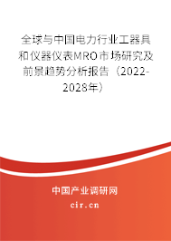 全球與中國電力行業(yè)工器具和儀器儀表MRO市場研究及前景趨勢分析報告（2022-2028年）
