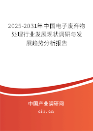 2025-2031年中國電子廢棄物處理行業(yè)發(fā)展現(xiàn)狀調(diào)研與發(fā)展趨勢分析報告