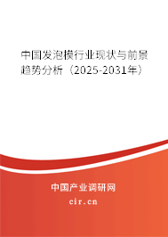 中國發(fā)泡模行業(yè)現(xiàn)狀與前景趨勢分析（2025-2031年）