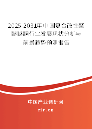 2025-2031年中國復(fù)合改性聚醚醚酮行業(yè)發(fā)展現(xiàn)狀分析與前景趨勢預(yù)測報告