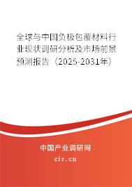 全球與中國負(fù)極包覆材料行業(yè)現(xiàn)狀調(diào)研分析及市場前景預(yù)測報告（2025-2031年）