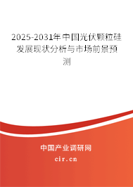 2025-2031年中國光伏顆粒硅發(fā)展現狀分析與市場前景預測