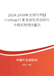 2024-2030年全球與中國Hadoop行業(yè)發(fā)展現(xiàn)狀調(diào)研與市場前景預(yù)測報告