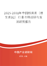 2025-2031年中國核黃素（維生素B2）行業(yè)市場調(diào)研與發(fā)展趨勢報告