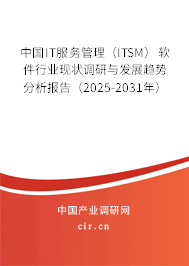 中國IT服務(wù)管理（ITSM）軟件行業(yè)現(xiàn)狀調(diào)研與發(fā)展趨勢分析報告（2025-2031年）