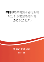 中國即熱式電熱水器行業(yè)現狀分析及前景趨勢報告（2025-2031年）