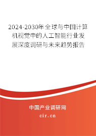 2024-2030年全球與中國(guó)計(jì)算機(jī)視覺中的人工智能行業(yè)發(fā)展深度調(diào)研與未來趨勢(shì)報(bào)告