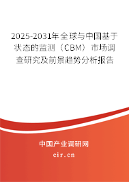 2025-2031年全球與中國(guó)基于狀態(tài)的監(jiān)測(cè)（CBM）市場(chǎng)調(diào)查研究及前景趨勢(shì)分析報(bào)告