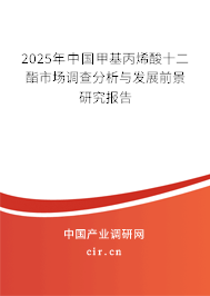 2025年中國甲基丙烯酸十二酯市場調(diào)查分析與發(fā)展前景研究報告