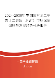 2024-2030年中國聚對苯二甲酸丁二醇酯（PBT）市場深度調(diào)研與發(fā)展趨勢分析報告