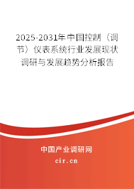 2025-2031年中國控制（調(diào)節(jié)）儀表系統(tǒng)行業(yè)發(fā)展現(xiàn)狀調(diào)研與發(fā)展趨勢分析報告