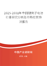 2025-2031年中國鋰離子電池行業(yè)研究分析及市場前景預(yù)測報告