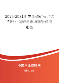 2025-2031年中國(guó)磷礦石浮選劑行業(yè)調(diào)研與市場(chǎng)前景預(yù)測(cè)報(bào)告