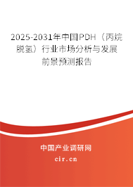 2025-2031年中國PDH（丙烷脫氫）行業(yè)市場分析與發(fā)展前景預(yù)測報告