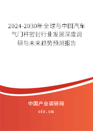2024-2030年全球與中國汽車氣門桿密封行業(yè)發(fā)展深度調(diào)研與未來趨勢預(yù)測報告