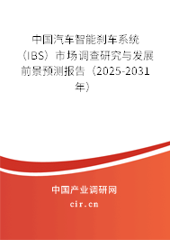 中國(guó)汽車(chē)智能剎車(chē)系統(tǒng)（IBS）市場(chǎng)調(diào)查研究與發(fā)展前景預(yù)測(cè)報(bào)告（2025-2031年）