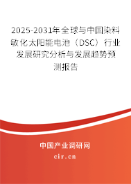 2025-2031年全球與中國染料敏化太陽能電池（DSC）行業(yè)發(fā)展研究分析與發(fā)展趨勢預測報告