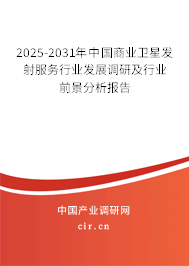 2025-2031年中國(guó)商業(yè)衛(wèi)星發(fā)射服務(wù)行業(yè)發(fā)展調(diào)研及行業(yè)前景分析報(bào)告