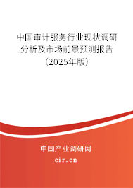 中國審計服務行業(yè)現(xiàn)狀調研分析及市場前景預測報告（2025年版）