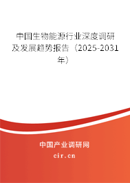 中國生物能源行業(yè)深度調研及發(fā)展趨勢報告（2025-2031年）