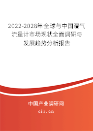 2022-2028年全球與中國(guó)濕氣流量計(jì)市場(chǎng)現(xiàn)狀全面調(diào)研與發(fā)展趨勢(shì)分析報(bào)告