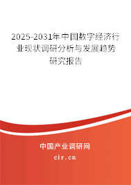 2025-2031年中國數(shù)字經(jīng)濟(jì)行業(yè)現(xiàn)狀調(diào)研分析與發(fā)展趨勢研究報告