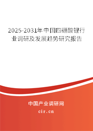 2025-2031年中國(guó)四硼酸鋰行業(yè)調(diào)研及發(fā)展趨勢(shì)研究報(bào)告