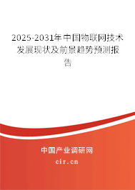 2025-2031年中國物聯(lián)網(wǎng)技術(shù)發(fā)展現(xiàn)狀及前景趨勢預(yù)測報告
