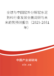 全球與中國窯外分解窯水泥熟料行業(yè)發(fā)展全面調(diào)研與未來趨勢預(yù)測報(bào)告（2025-2031年）