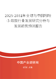 2025-2031年全球與中國吲唑-3-羧酸行業(yè)發(fā)展研究分析與發(fā)展趨勢預(yù)測報告