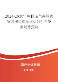 2024-2030年中國油氣井導(dǎo)管安裝服務(wù)市場現(xiàn)狀分析與發(fā)展趨勢預(yù)測