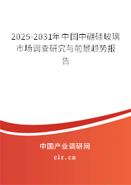 2025-2031年中國(guó)中硼硅玻璃市場(chǎng)調(diào)查研究與前景趨勢(shì)報(bào)告