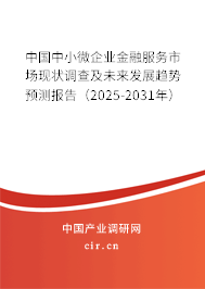 中國中小微企業(yè)金融服務市場現(xiàn)狀調(diào)查及未來發(fā)展趨勢預測報告（2025-2031年）