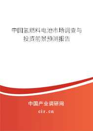 中國氫燃料電池市場調(diào)查與投資前景預(yù)測報告