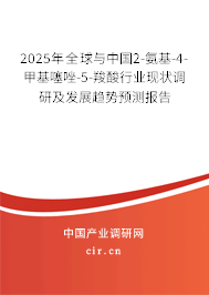 2025年全球與中國2-氨基-4-甲基噻唑-5-羧酸行業(yè)現(xiàn)狀調(diào)研及發(fā)展趨勢預(yù)測報(bào)告