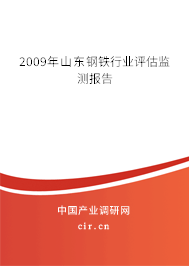 2009年山東鋼鐵行業(yè)評估監(jiān)測報告