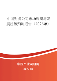 中國(guó)財(cái)務(wù)公司市場(chǎng)調(diào)研與發(fā)展趨勢(shì)預(yù)測(cè)報(bào)告（2025年）
