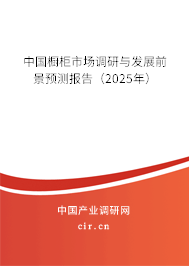 中國櫥柜市場調(diào)研與發(fā)展前景預測報告（2025年）