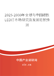 2025-2030年全球與中國磁性LED燈市場研究及發(fā)展前景預(yù)測