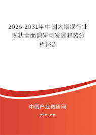 2025-2031年中國大煙煤行業(yè)現(xiàn)狀全面調(diào)研與發(fā)展趨勢分析報告