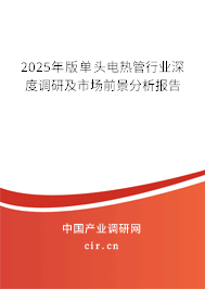 2024年版單頭電熱管行業(yè)深度調(diào)研及市場前景分析報告