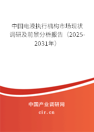 中國電液執(zhí)行機(jī)構(gòu)市場現(xiàn)狀調(diào)研及前景分析報(bào)告（2025-2031年）