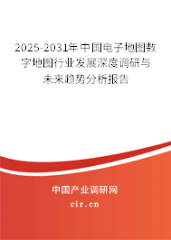 2025-2031年中國電子地圖數(shù)字地圖行業(yè)發(fā)展深度調(diào)研與未來趨勢分析報告