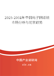 2025-2031年中國電子陰道鏡市場分析與前景趨勢