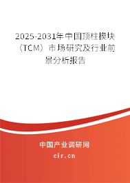 2025-2031年中國頂柱模塊（TCM）市場研究及行業(yè)前景分析報告