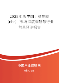 2025年版中國(guó)丁腈橡膠（nbr）市場(chǎng)深度調(diào)研與行業(yè)前景預(yù)測(cè)報(bào)告