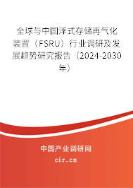 全球與中國浮式存儲再氣化裝置（FSRU）行業(yè)調研及發(fā)展趨勢研究報告（2024-2030年）