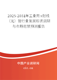 2025-2031年工業(yè)用x射線（光）管行業(yè)發(fā)展現(xiàn)狀調(diào)研與市場(chǎng)前景預(yù)測(cè)報(bào)告